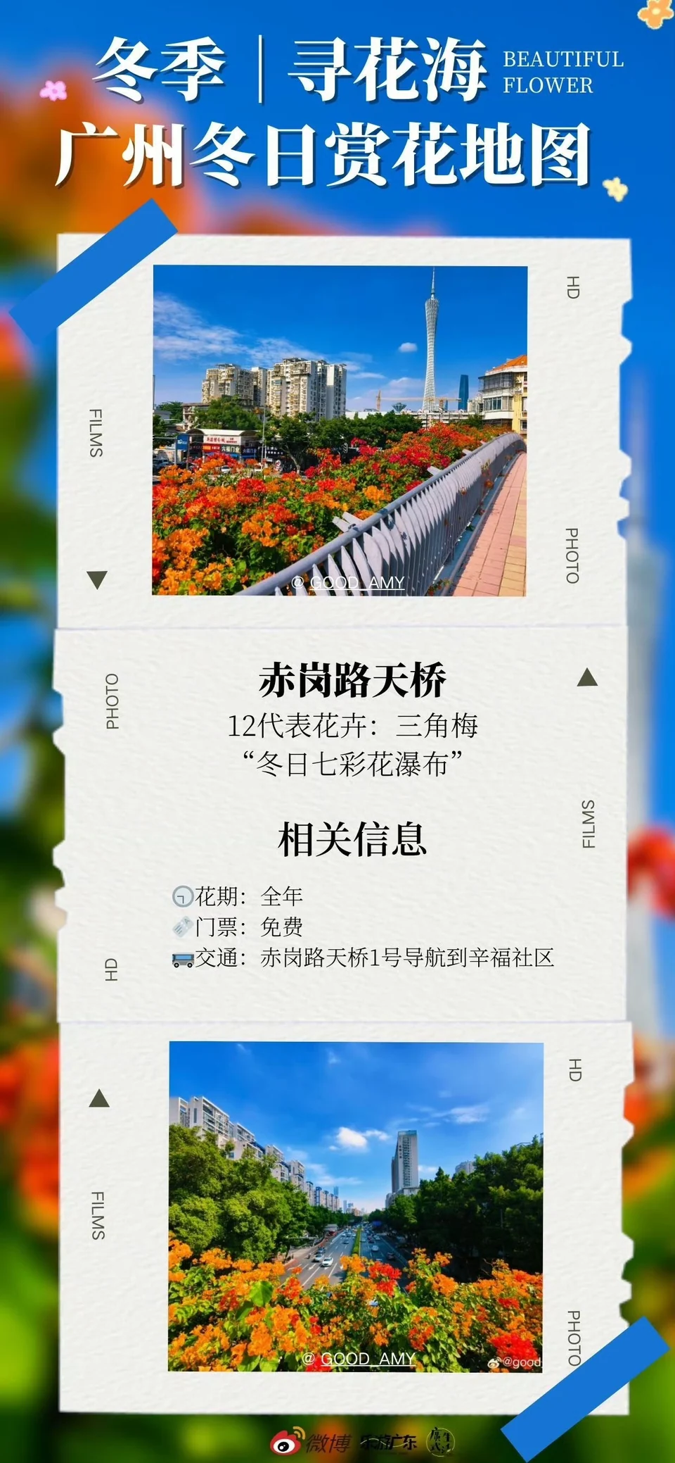 新浪微博项目作品预览图 8
